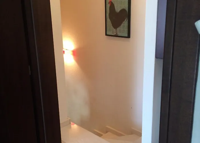 Eliott Сasa de vacaciones *